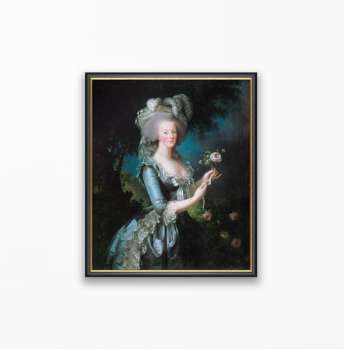Marie-Antoinette and the Rose