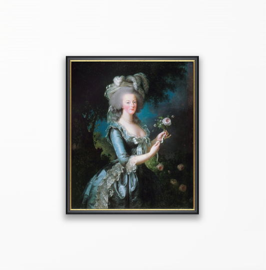 Marie-Antoinette and the Rose