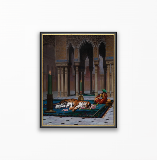 The Grief of the Pasha
