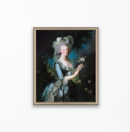 Marie-Antoinette and the Rose