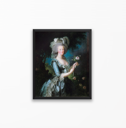 Marie-Antoinette and the Rose